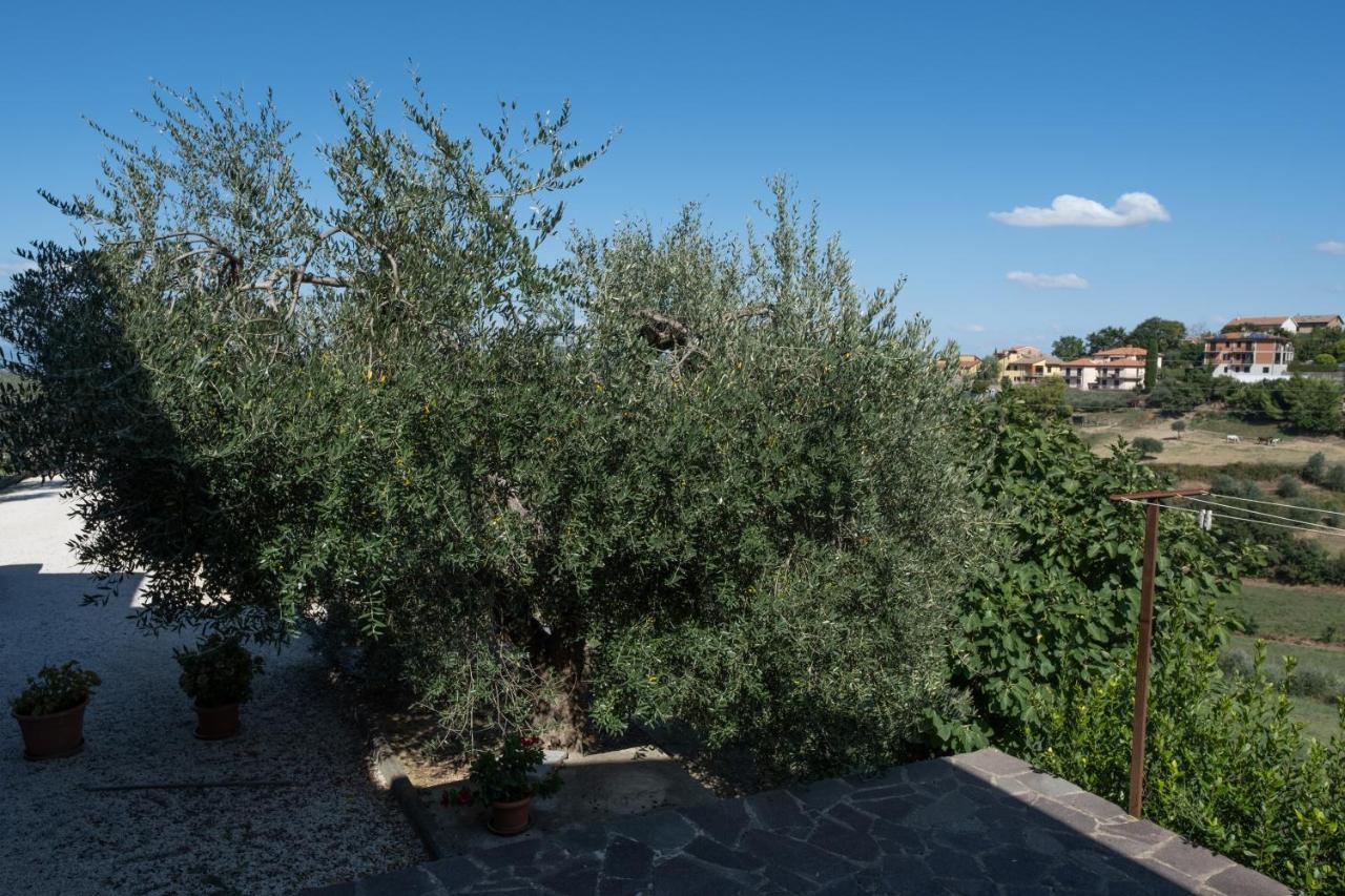 La Casa Di Sara Διαμέρισμα Città della Pieve Εξωτερικό φωτογραφία